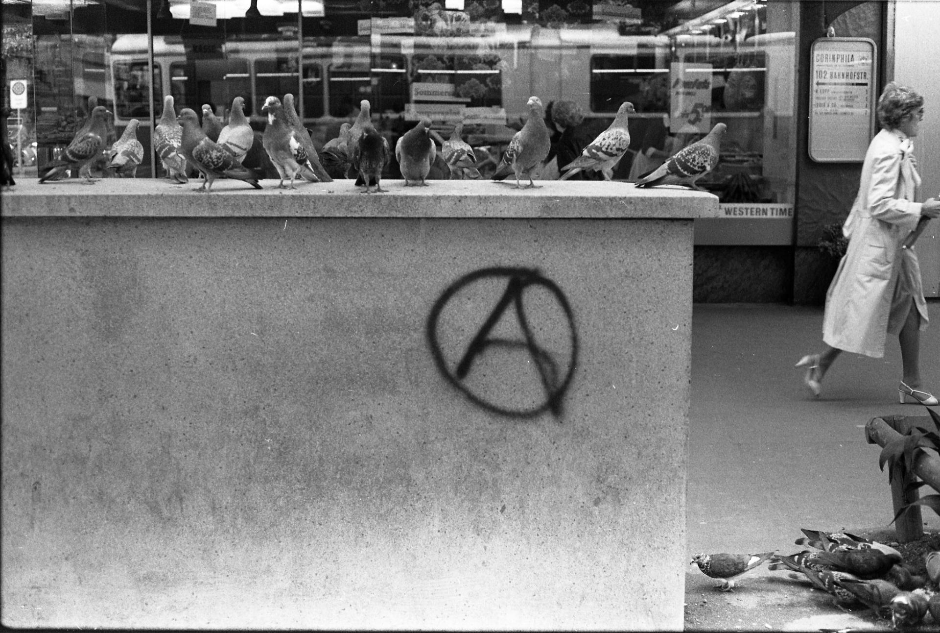 Nach der Demo vom 21.06.1980, «[Anarchie A]»-Graffiti an Stromkasten, auf welchem viele Tauben sitzen, vermutlich Juni 1980. Bild: Michel Fries, Schweizerisches Sozialarchiv.