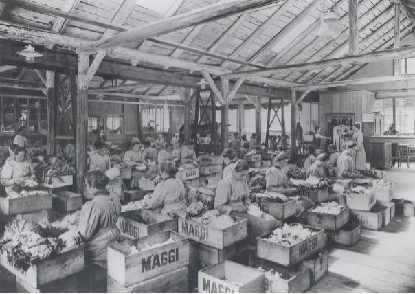 Arbeiterinnen rüsten Gemüse in der Maggi-Fabrik, 1910; Gretlers Panoptikum zur Sozialgeschichte